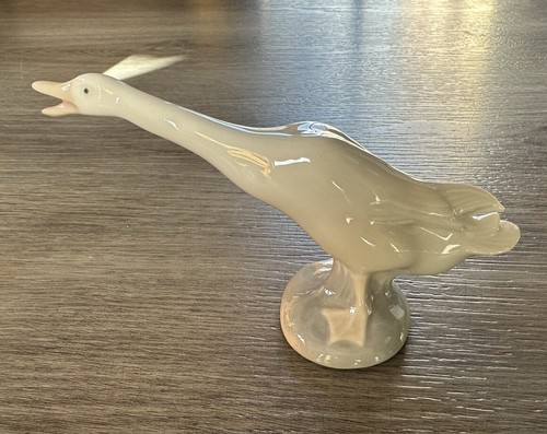 Superbe oie oiseau - oiseau, en