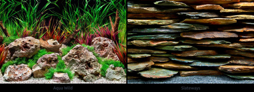 Poster fond aquarium - fond,