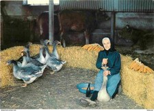 Animaux - Oiseaux - Oies -