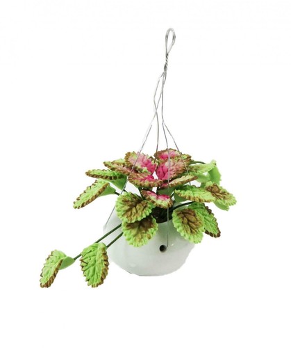 Maison poupées caladium - maison, de