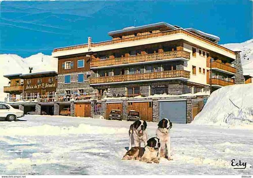 Carte postale animaux - -,