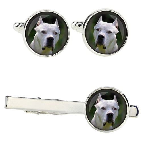Set dogue argentin - argentin, avec