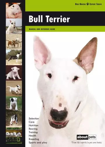Bull terrier various - bull, terrier,