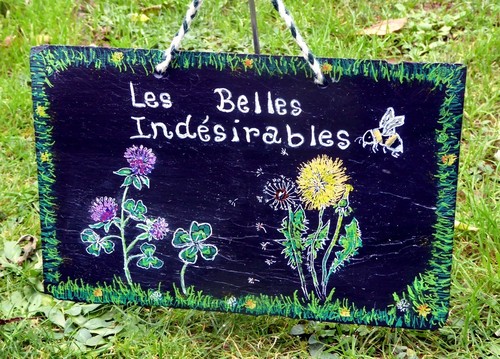 Décoration unique jardin - unique,