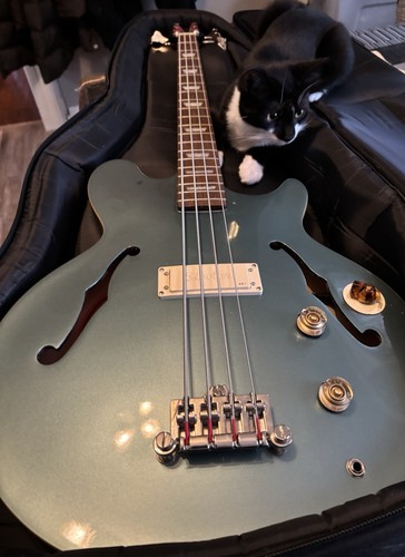 Epiphone jack casady signature - epiphone,