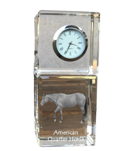 Quarter horse américain - horse,