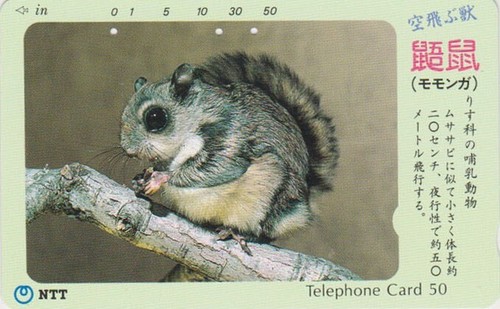 Télécarte japon animal - -,