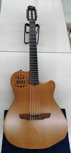 Guitare électrique acoustique