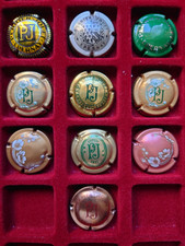 90 Capsules Champagne