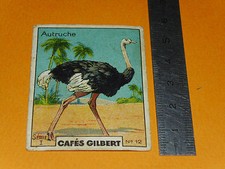 CHROME 1936 CAFES GILBERT OSTRICH