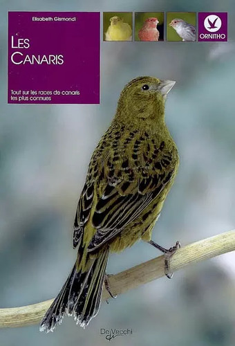 Les canaris elisabetta - les,