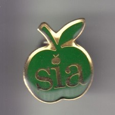 RARE PINS PIN'S .. BEAUTE