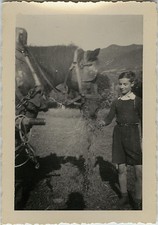 ANTIQUE PHOTO - VINTAGE SNAPSHOT - ANIMAL HORSE TRAIT FUNNY EATING - HORSE