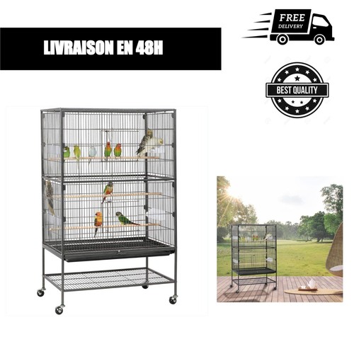 Grande cage oiseaux sur - à,