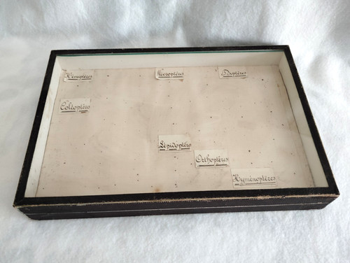 Ancienne vitrine boite - ancienne,