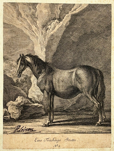 Cheval eine trachtige - eine,