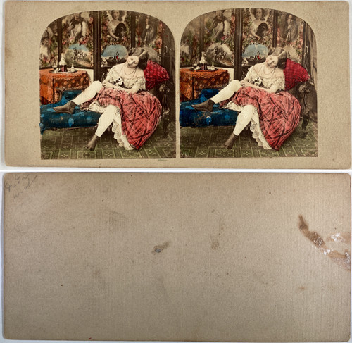 Femme dans fauteuil - femme, un