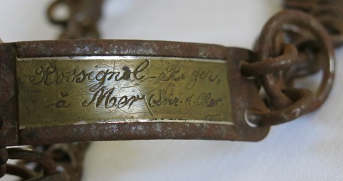 Collier chien ancien - chien,,