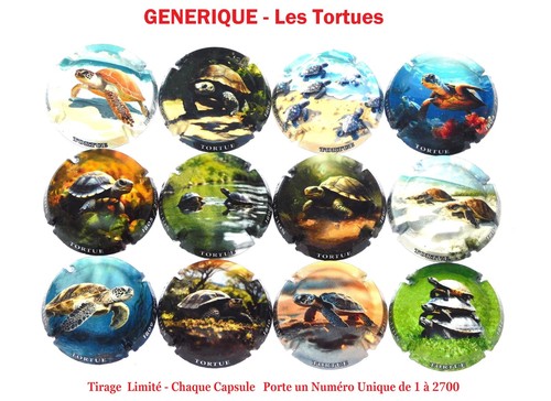 Série capsules de - série,