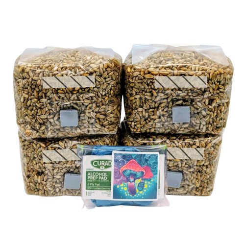 1lb sterile mushroom - mushroom, grain