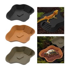 Bol d'eau pour tortue avec