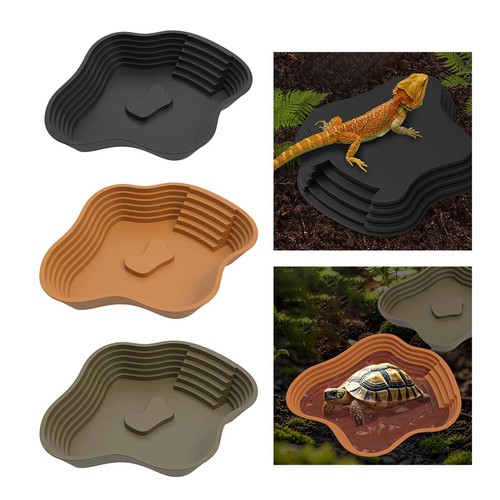 Bol eau pour tortue avec - pour,