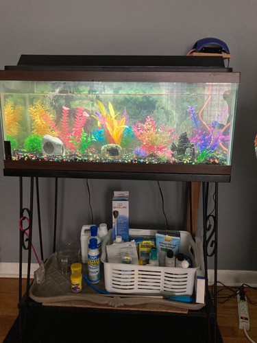 Entire aquarium set with - up,