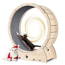Roue d'Exercice pour Chat