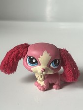 PETSHOP CHIEN CAVALIER KING