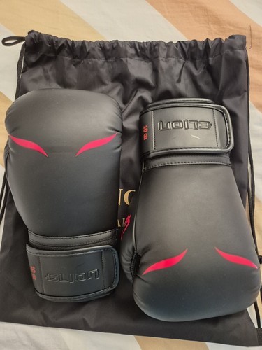Gants boxe elion - de,