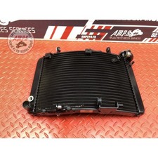 Radiateur d'eau MV-Agusta 800