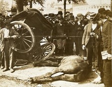 PARIS Un accident de voiture à cheval Photo c1900 Stereo Vintage Argentique