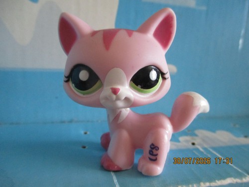 Petshop chat maine - petshop,