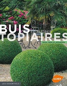 Buis autres topiaires - buis,