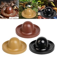 Gamelle pour reptiles