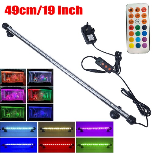 Inch aquarium underwater - inch,