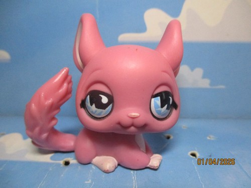 Petshop chinchilla 599 - petshop,