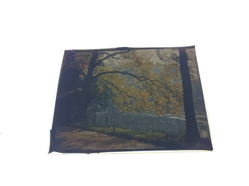 Autochromes filmcolor a - autochromes,