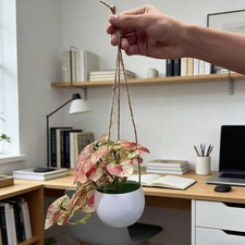 Plante Artificielle Réaliste