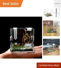 Durable Acrylic Spider
