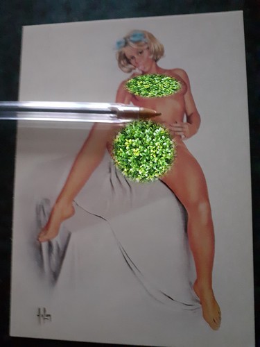 Aslan fraicheur pin - aslan, pin-up
