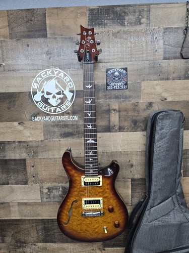 Prs custom semi hollow - se, semi-hollow