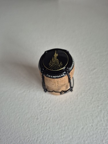 Capsule champagne sur - champagne,