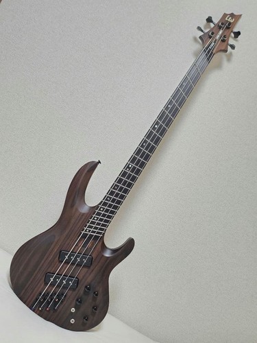 Esp ltd 1004se - esp, multiscale