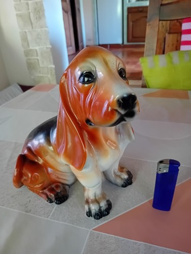 Ancien basset hound - ancien, en
