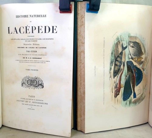Livre ancien 1881 lacépède - 1881,