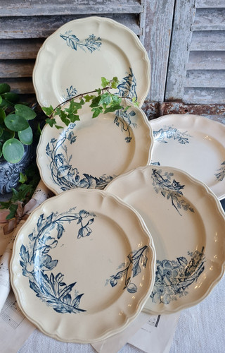 Anciennes assiettes plates - anciennes,