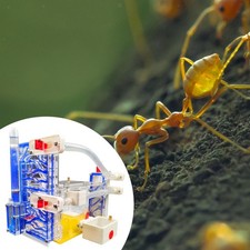 Fourmilière en acrylique à monter soi-même avec zone d'alimentation pour