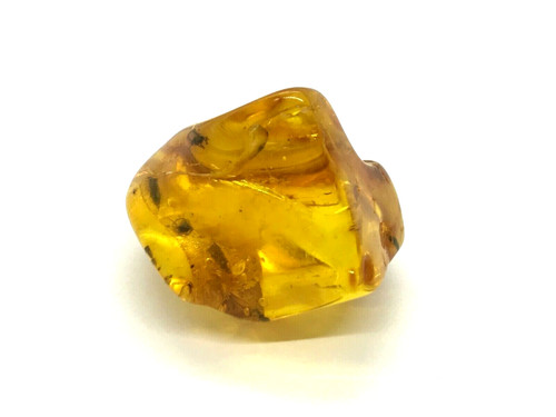 Morceau ambre insecte - morceau, d'ambre
