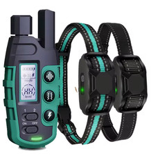 2 colliers dressage chien